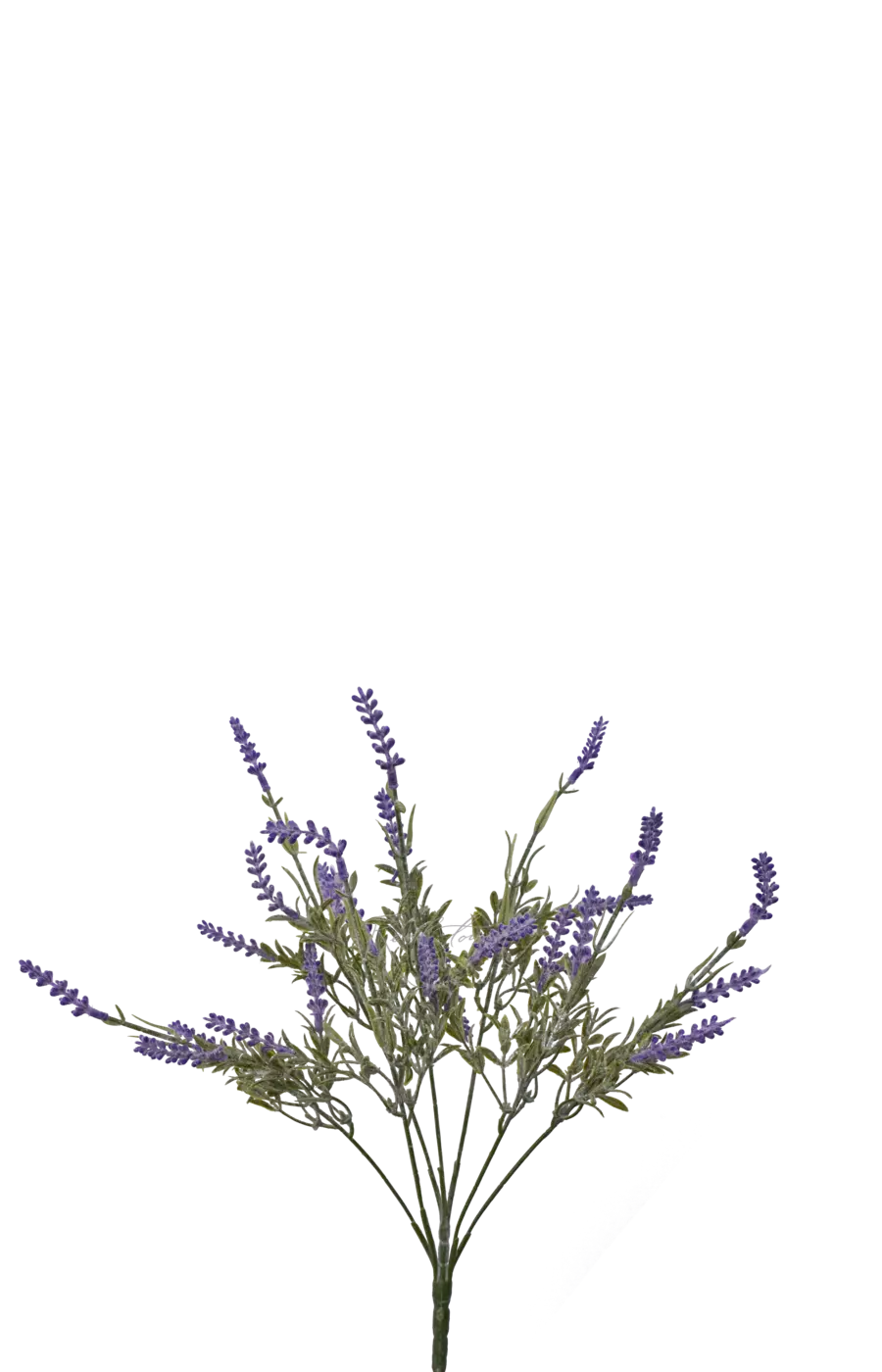 Лаванда - Сиреневый Лаванда - Сиреневый