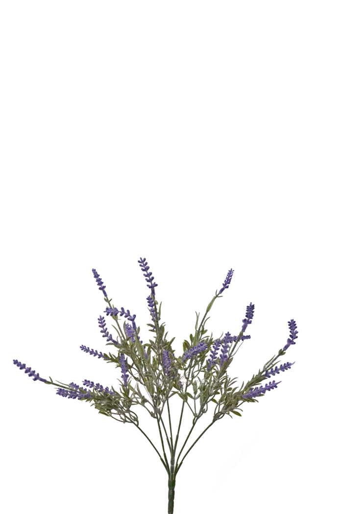 Лаванда - Сиреневый