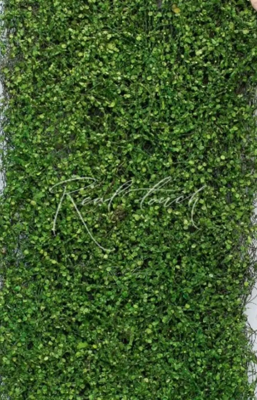 Полотно из мюленбекии 40*90 - Зеленый