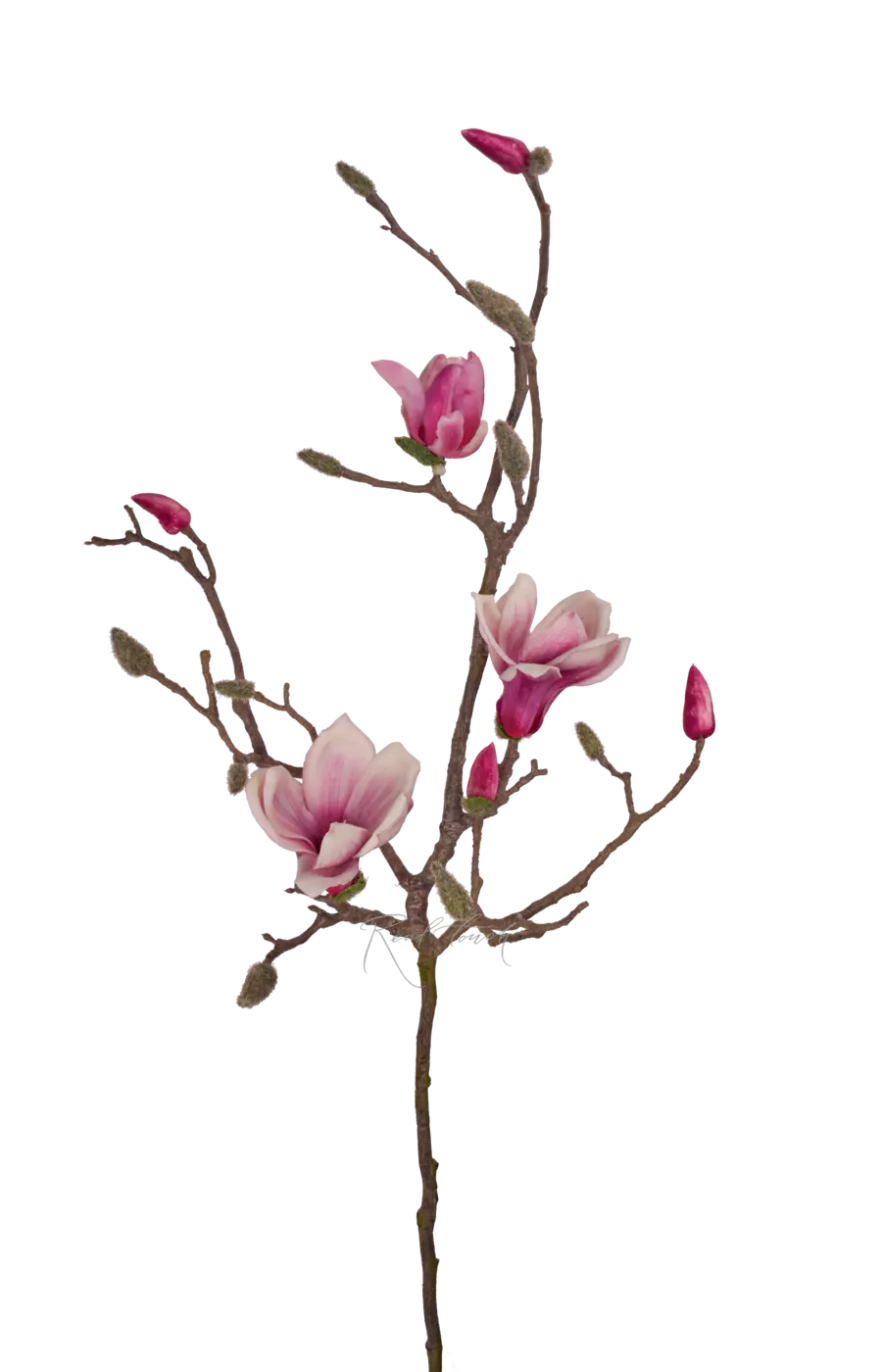 Ветка с цветами магнолии (3+4) - Светло-фиолетовый
