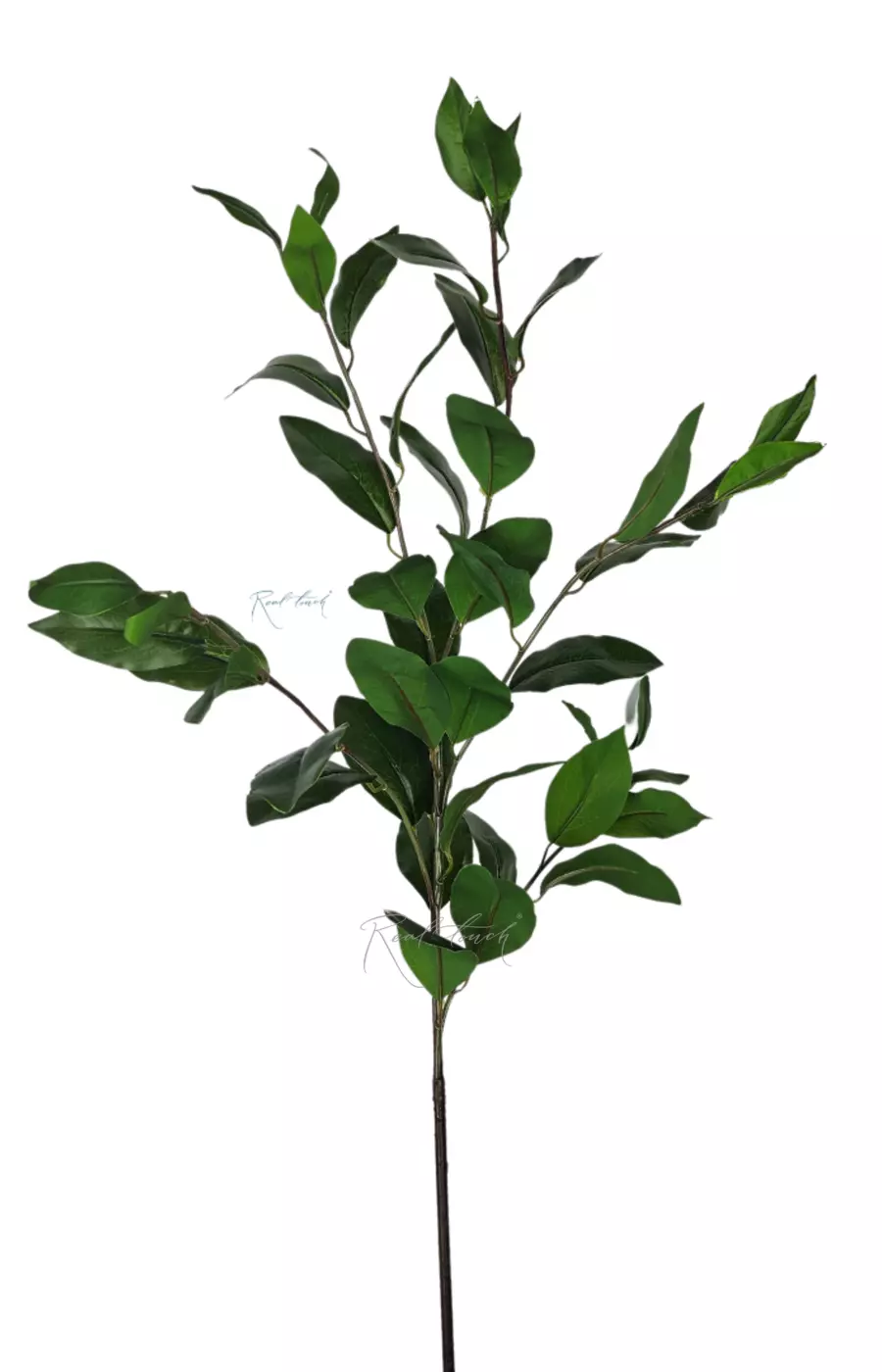 Ветка с лавровыми листьями (5 ответвлений) - Зеленый