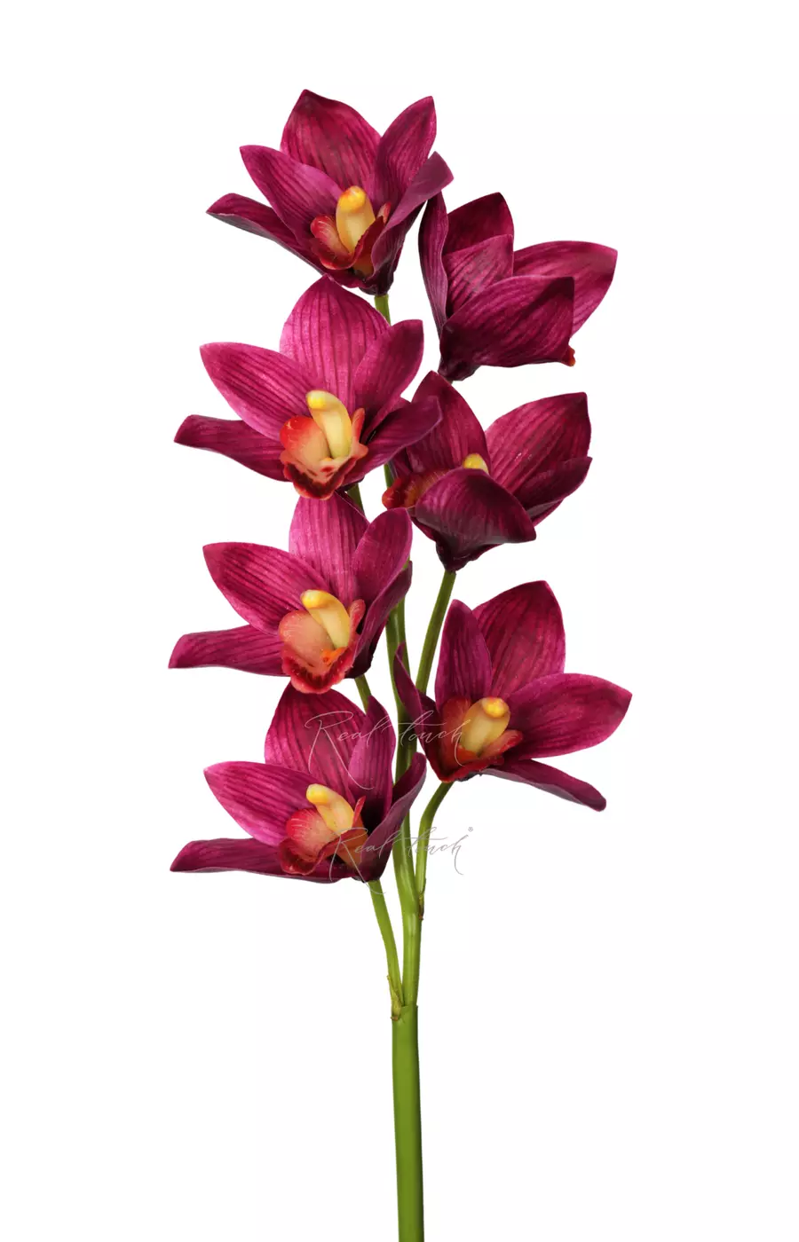 Цимбидиум 7 соцветий - Фиолетовый