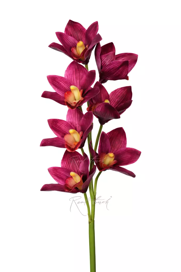 Цимбидиум 7 соцветий - Фиолетовый Цимбидиум 7 соцветий - Фиолетовый