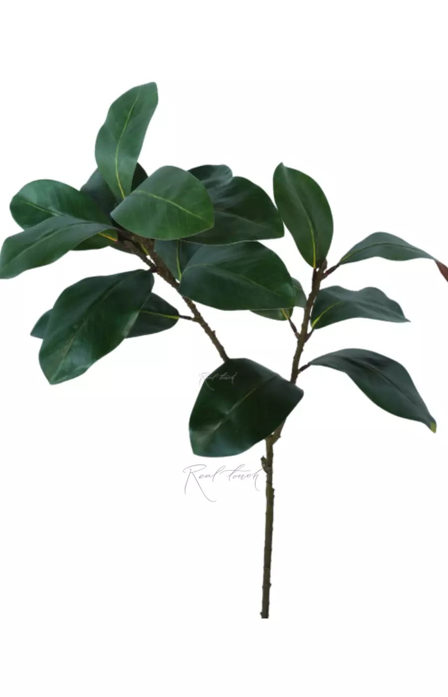 Ветка с листьями магнолии (2 ответвления) - Зеленый