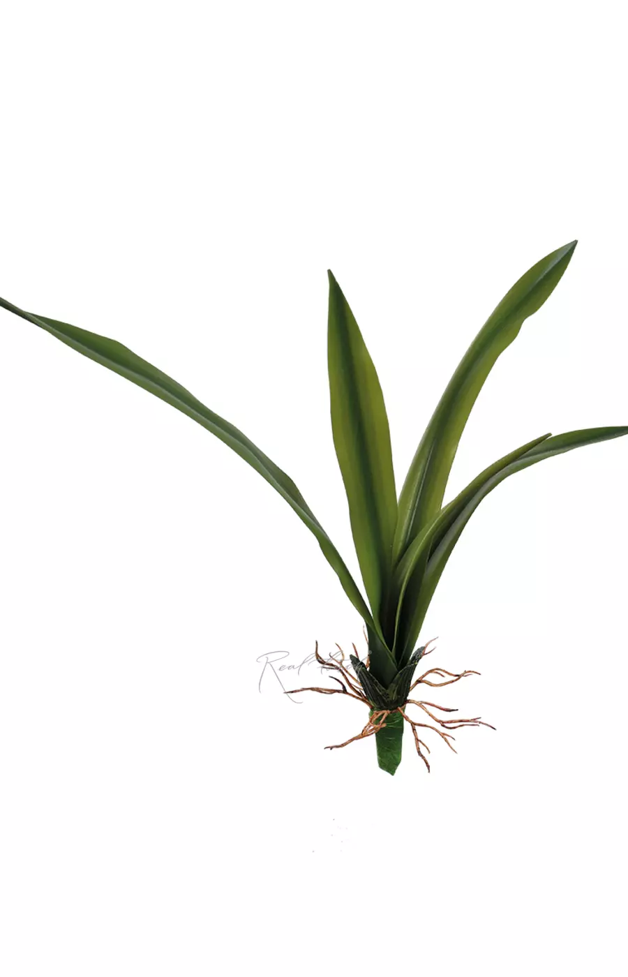 Куст малый с листьями - Зеленый Куст малый с листьями - Зеленый