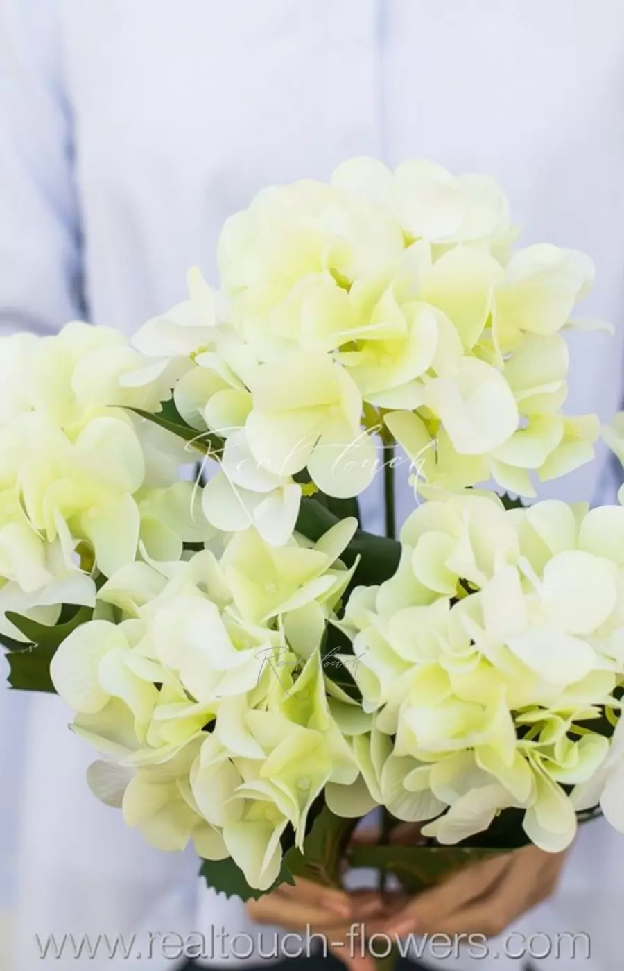 Гортензия кустовая 5 соцветий - Нежно-салатовый