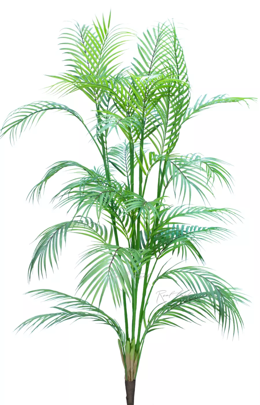 Пальма Арека 125см (32 листа) - Зеленый