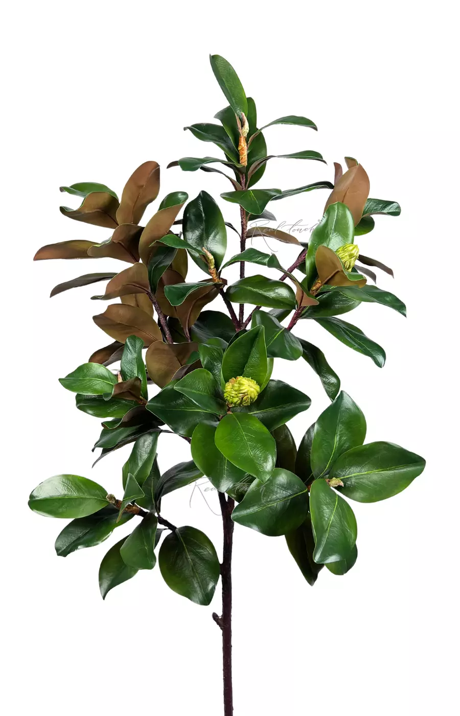 Ветка магнолии Premium с плодами 155 см - Зеленый
