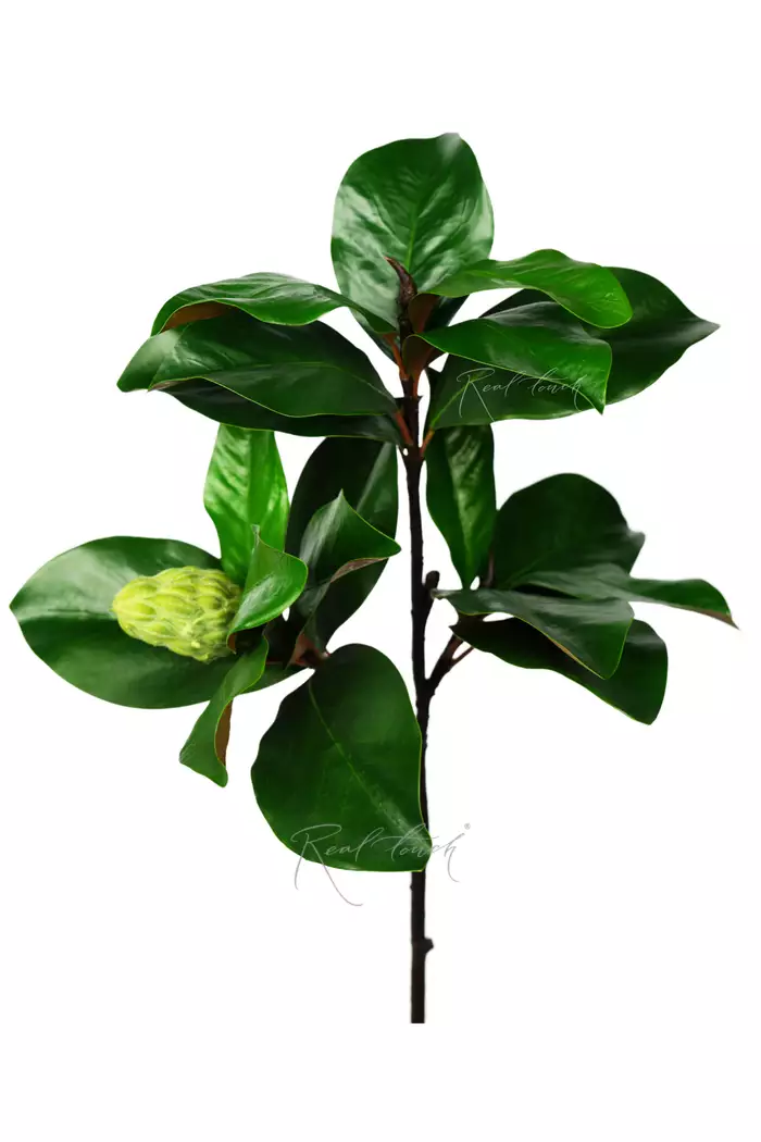 Ветка магнолии Premium с плодами 80 см  - Зеленый