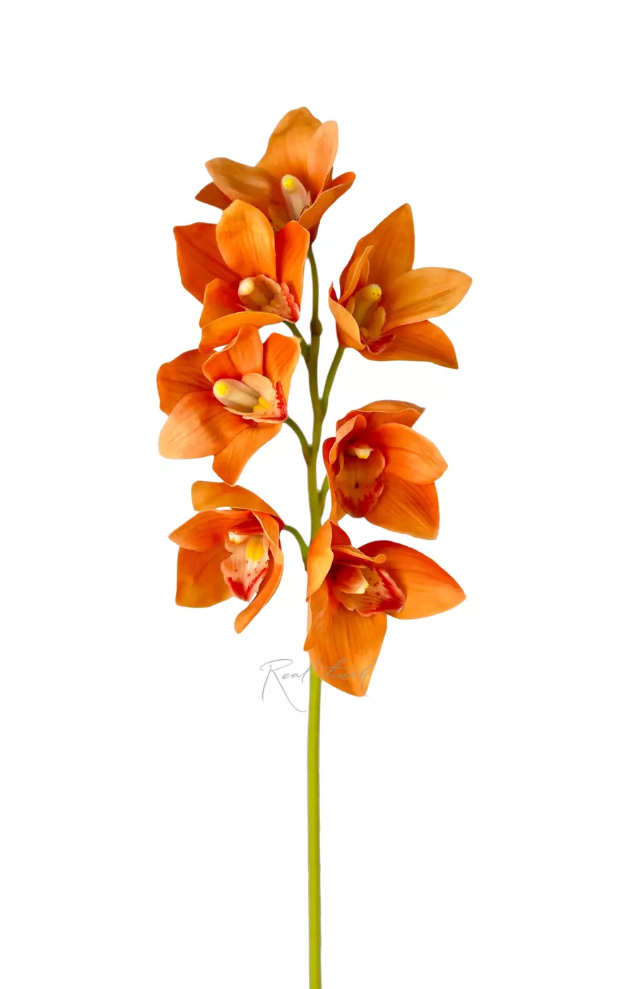 Цимбидиум гибридный 7 соцв - Оранжевый