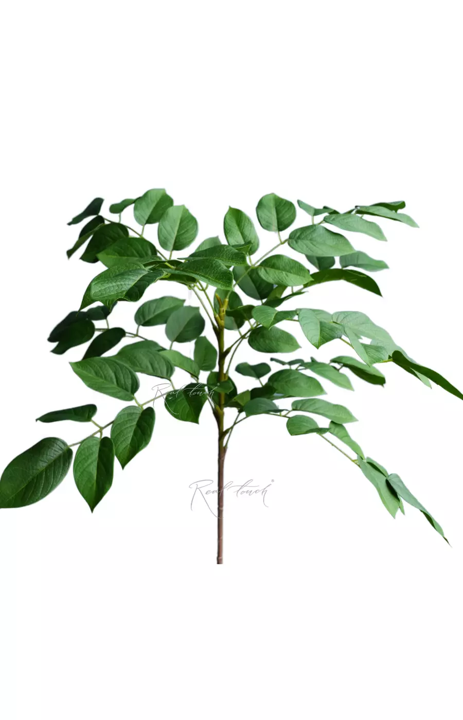 Ветка гуавы средняя - Зеленый