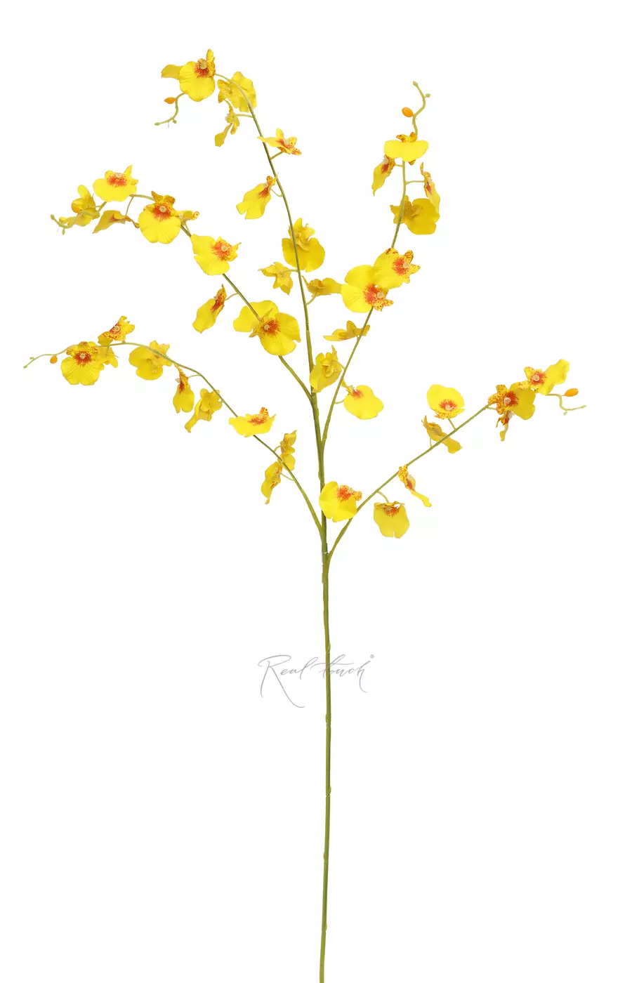 Танцующая орхидея 5 веточек - Желтый Танцующая орхидея 5 веточек - Желтый