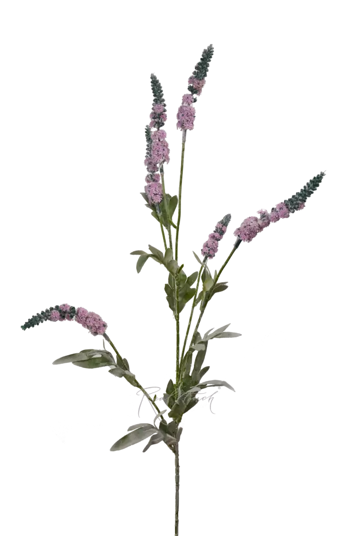 Шалфей - Светло-сиреневый