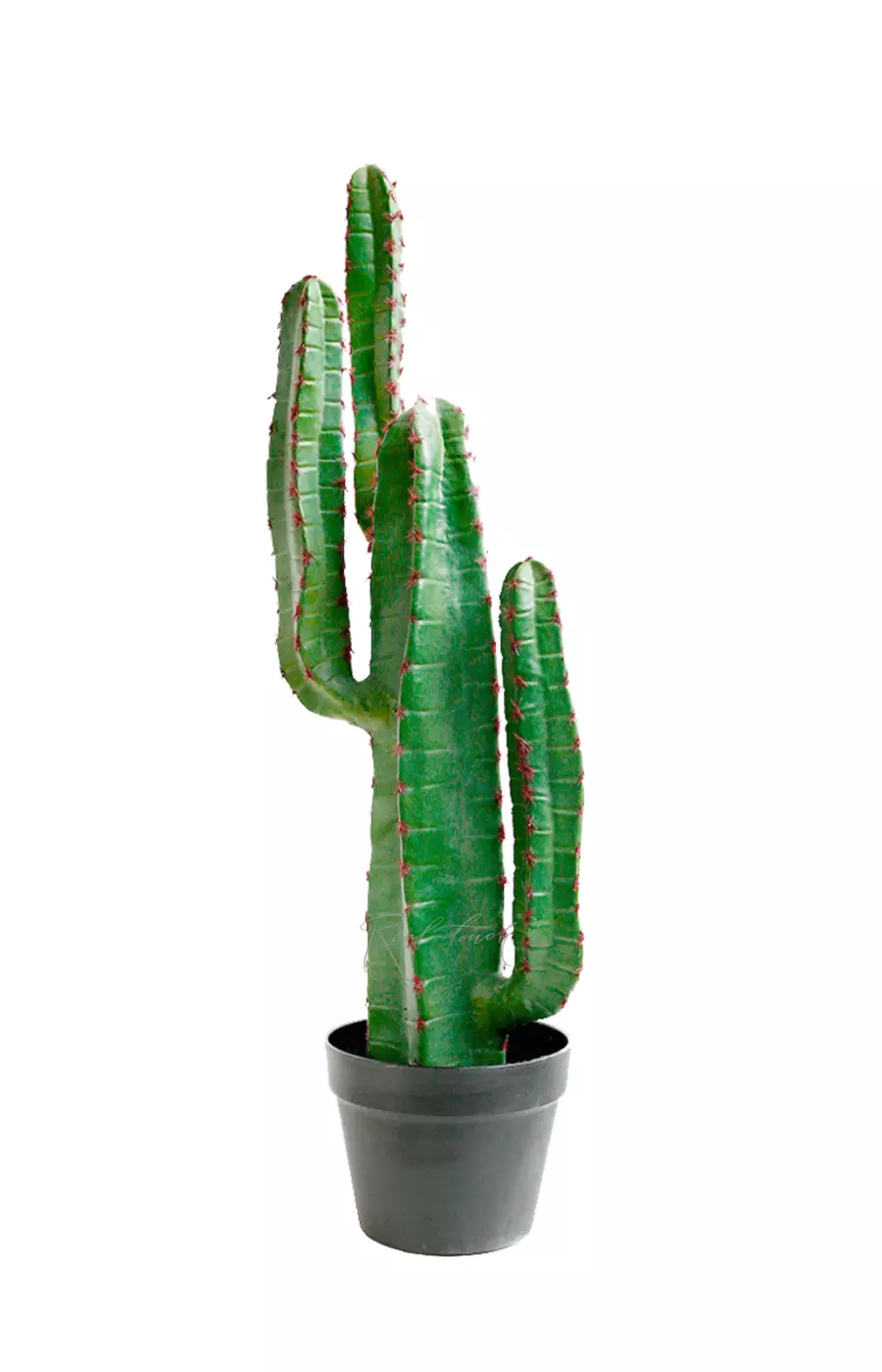 Кактус Цереус малый 78см (с красными иголками) - Зеленый