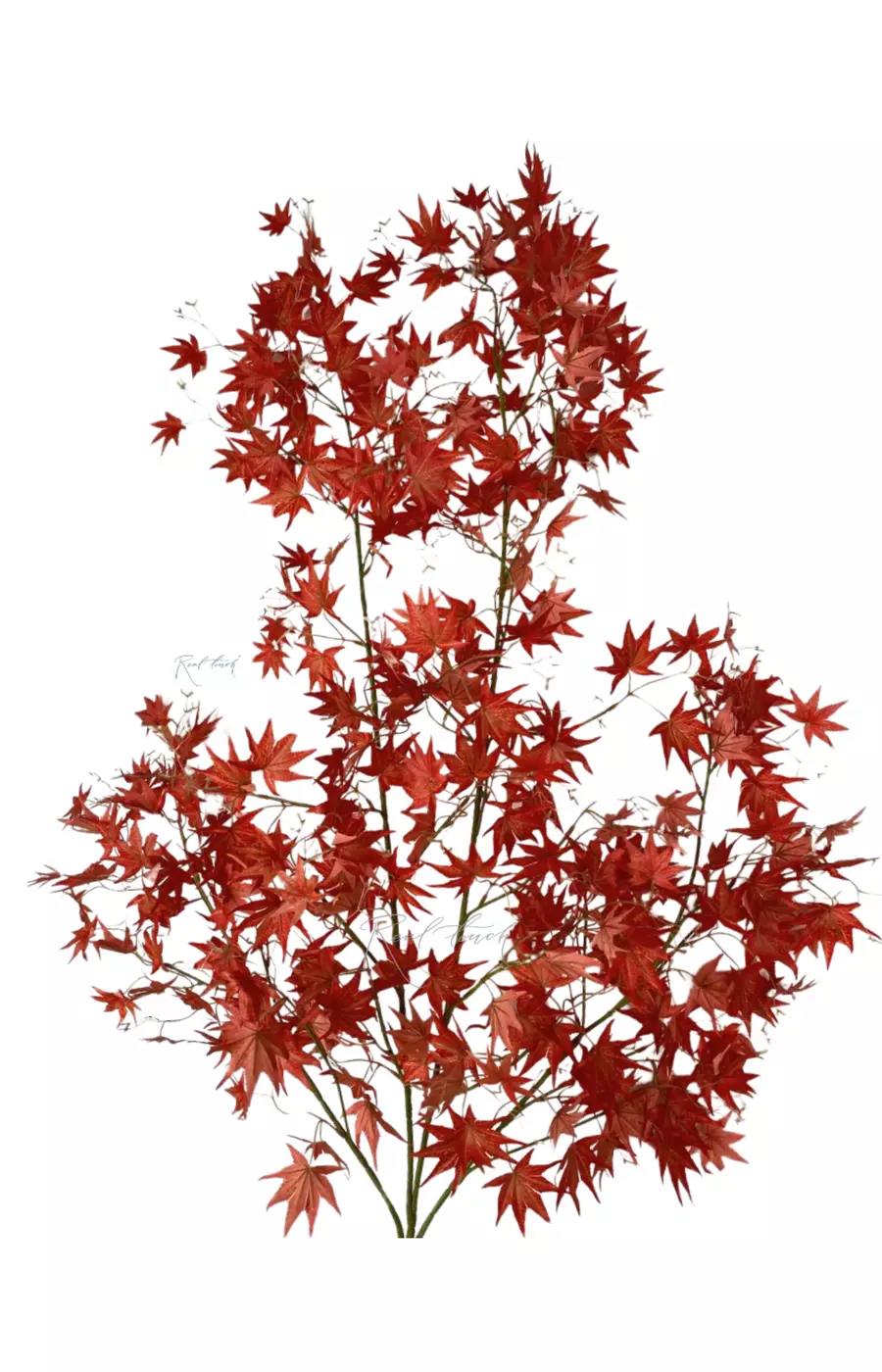 Ветка клена 135см - Красный