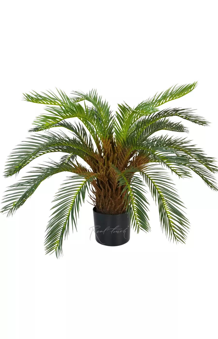 Пальма Цикас 70см - Зеленый